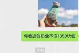 双柏为什么选择专业追讨公司来处理您的债务纠纷？